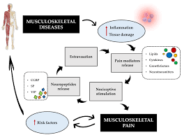 chronic pain in musculoskeletal